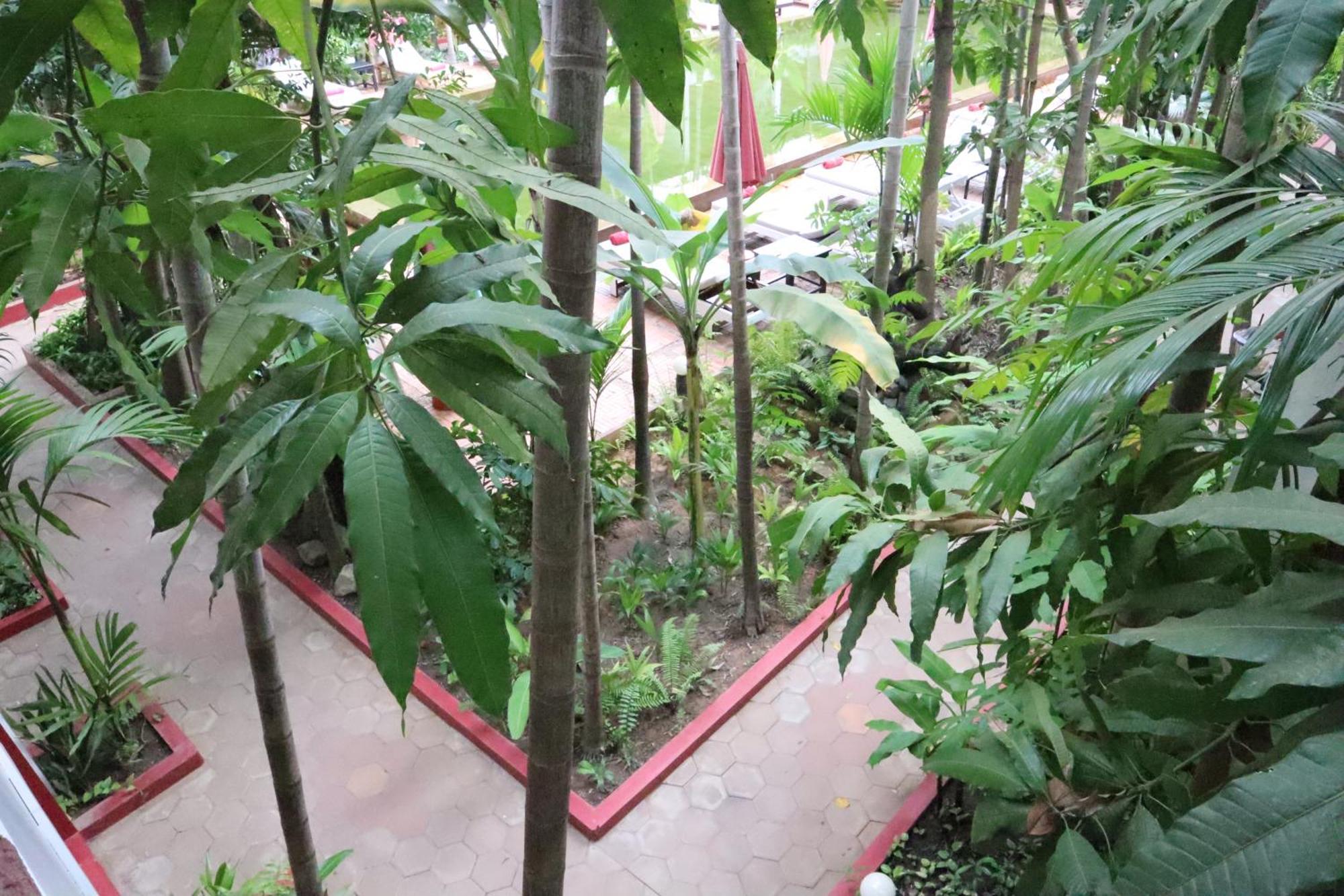 La Niche D'Angkor Boutique Hotel Siem Reap Exteriör bild